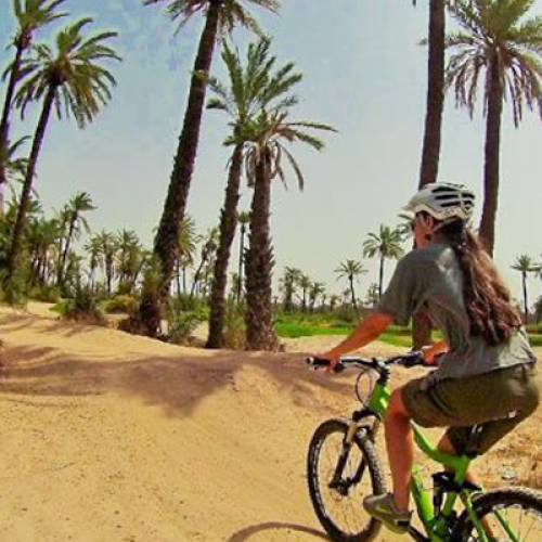 BALADE EN VTT MARRAKECH PALMERAIE ½ JOURNÉE