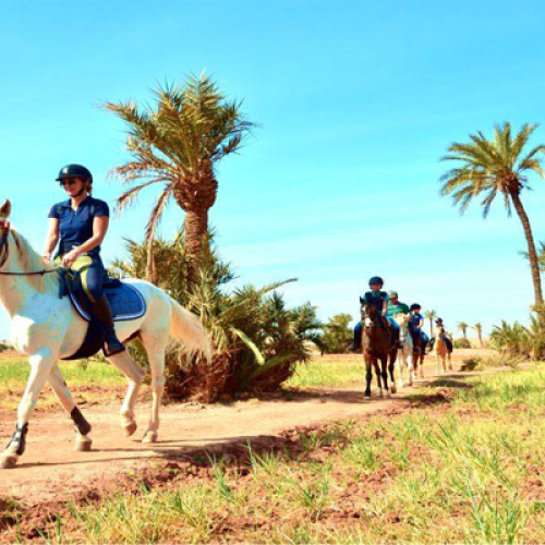 Balade À Cheval Marrakech Palmeraie 1⁄2 Journée